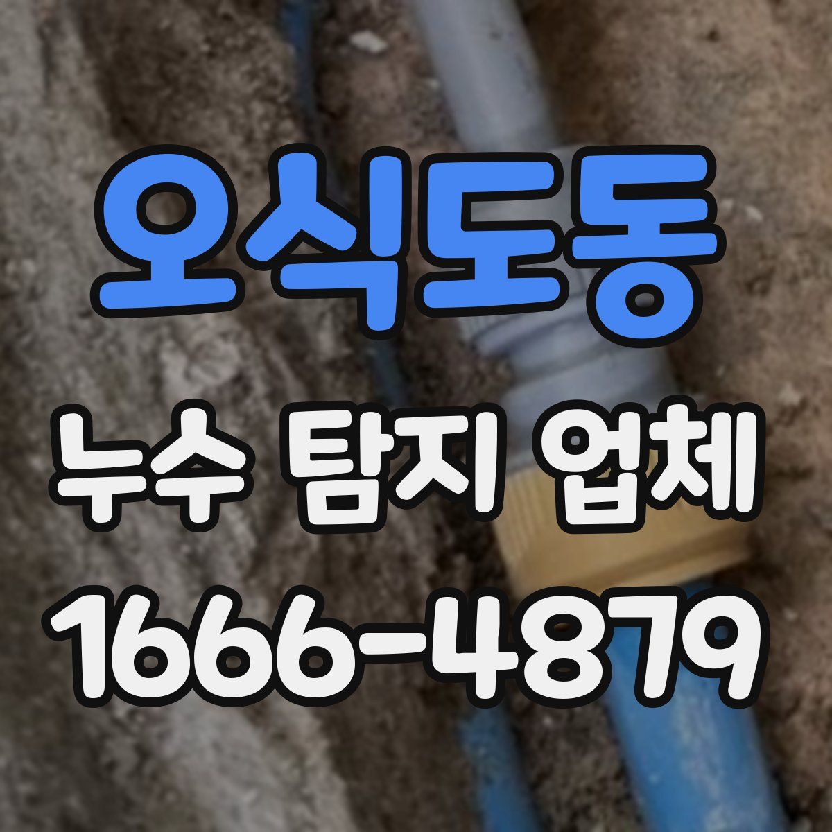 오식도동 누수 탐지 업체