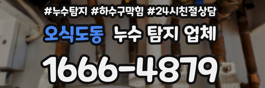 오식도동 누수 탐지 업체