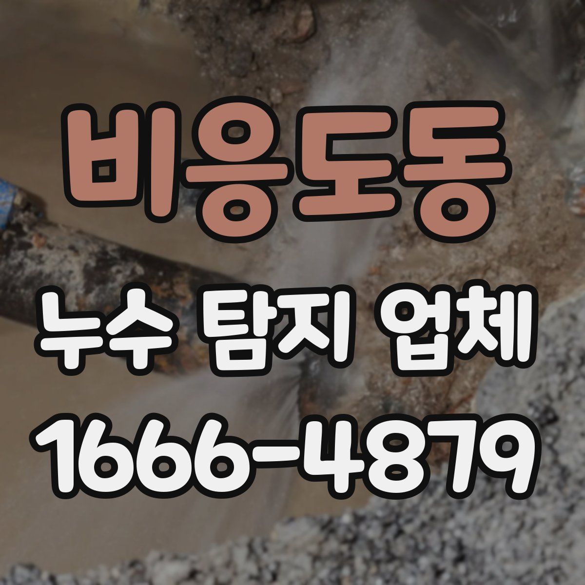 비응도동 누수 탐지 업체