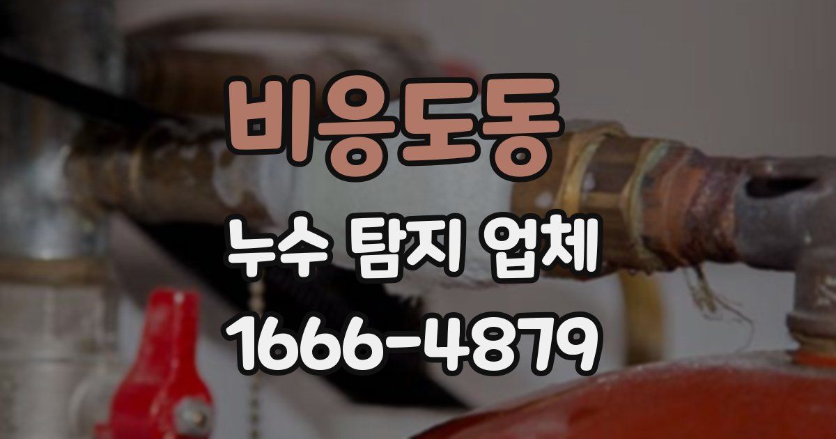 비응도동 누수 탐지 업체