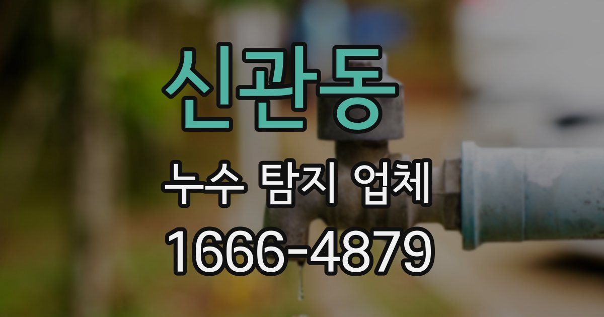 신관동 누수 탐지 업체