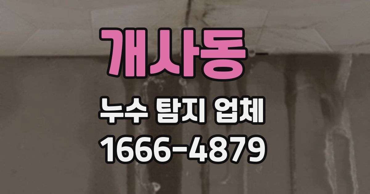 개사동 누수 탐지 업체