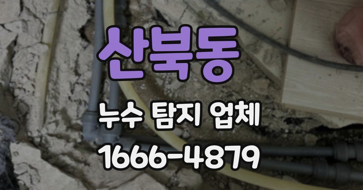 산북동 누수 탐지 업체