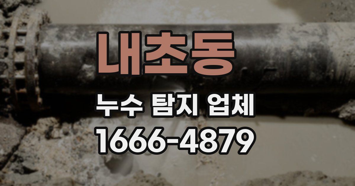 내초동 누수 탐지 업체