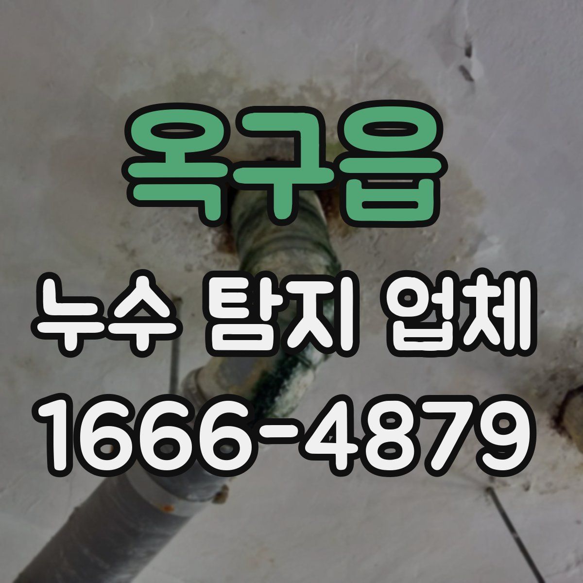 옥구읍 누수 탐지 업체