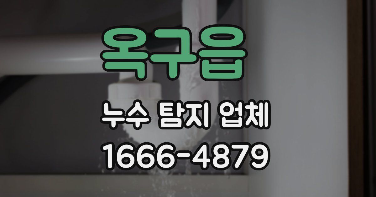 옥구읍 누수 탐지 업체