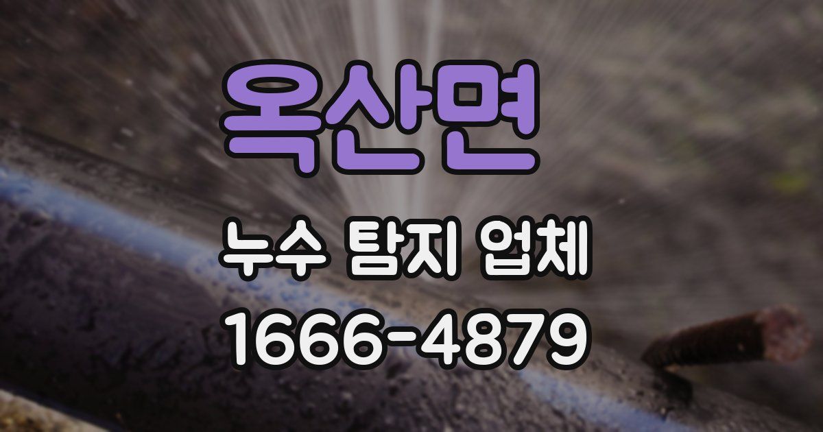 옥산면 누수 탐지 업체