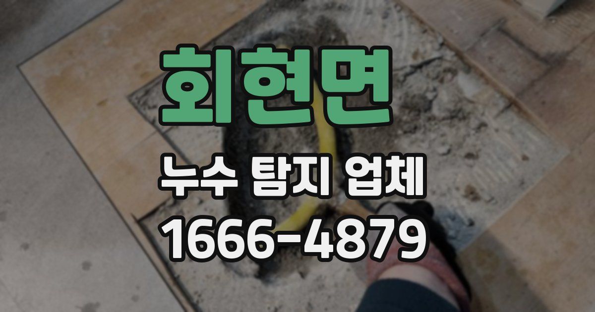 회현면 누수 탐지 업체