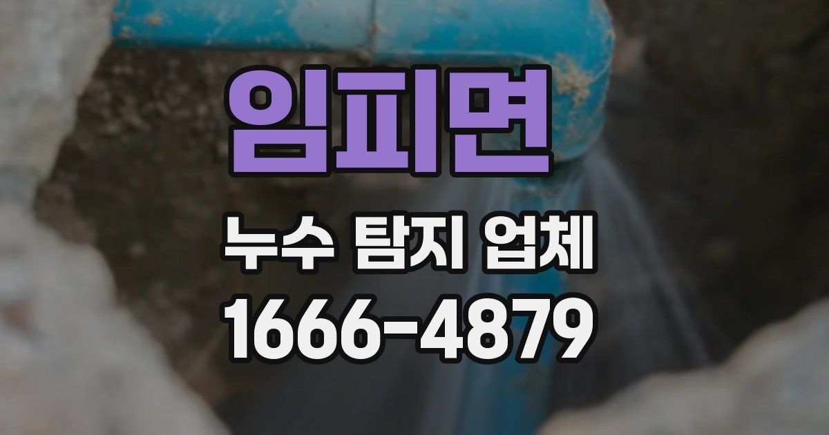 임피면 누수 탐지 업체