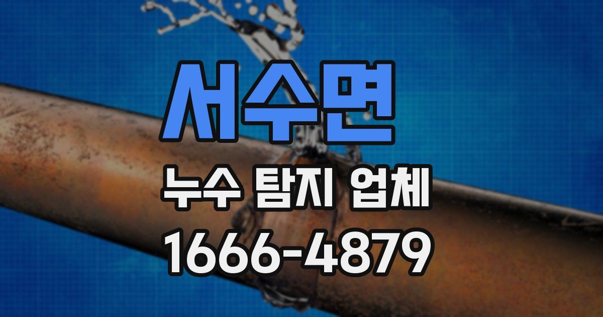 서수면 누수 탐지 업체