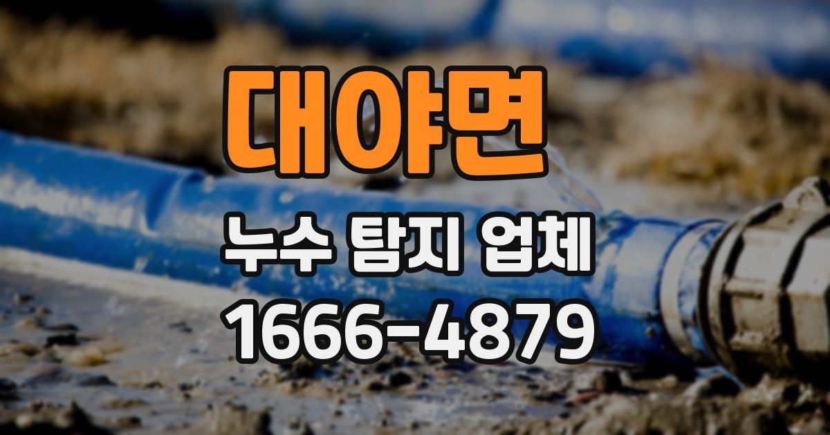 대야면 누수 탐지 업체