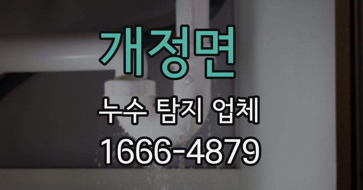 개정면 누수 탐지 업체