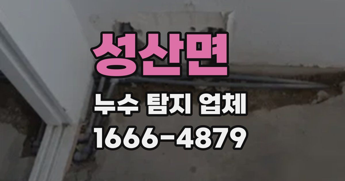 성산면 누수 탐지 업체
