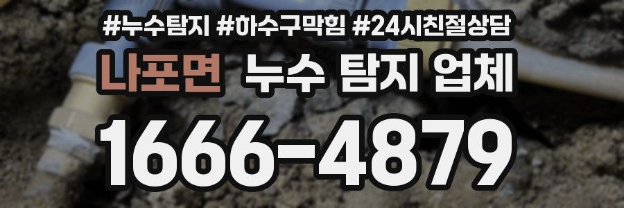 나포면 누수 탐지 업체