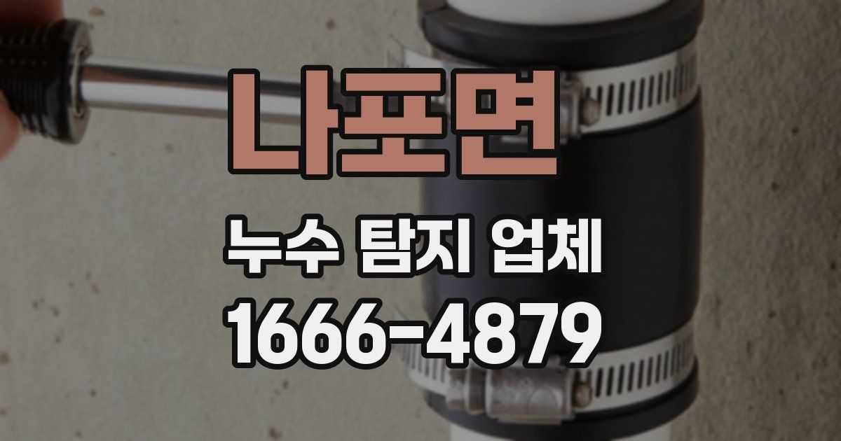 나포면 누수 탐지 업체