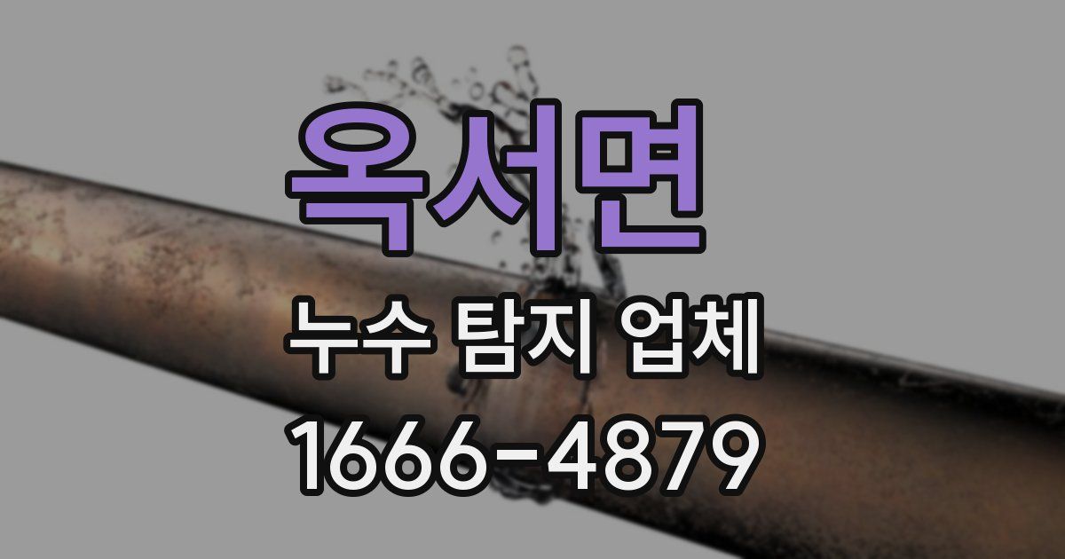 옥서면 누수 탐지 업체