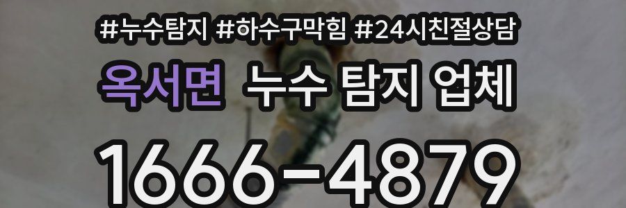 옥서면 누수 탐지 업체