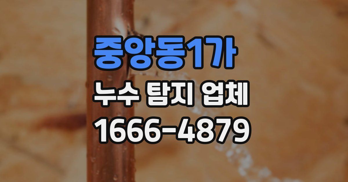 중앙동1가 누수 탐지 업체