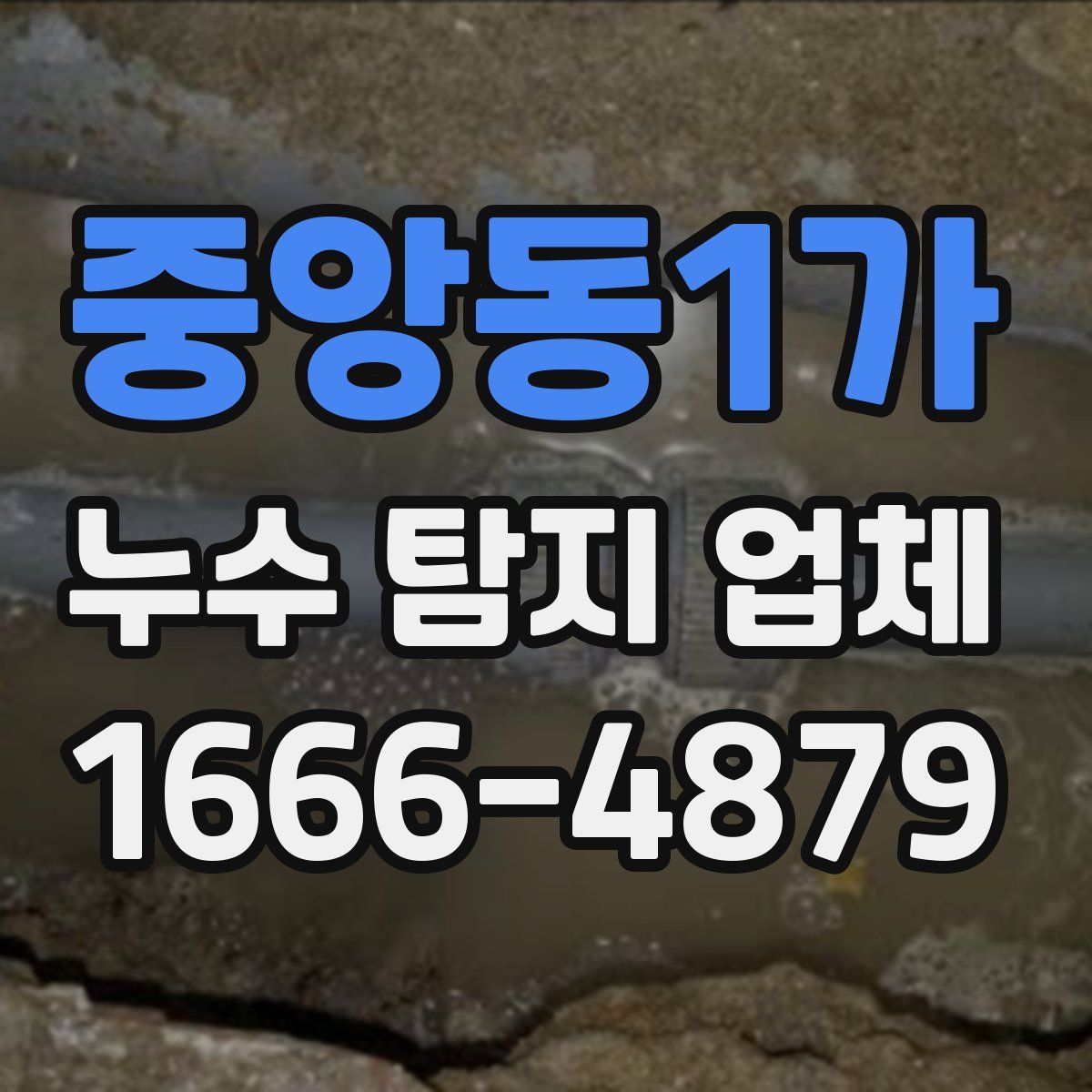 중앙동1가 누수 탐지 업체