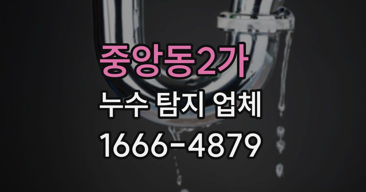 중앙동2가 누수 탐지 업체