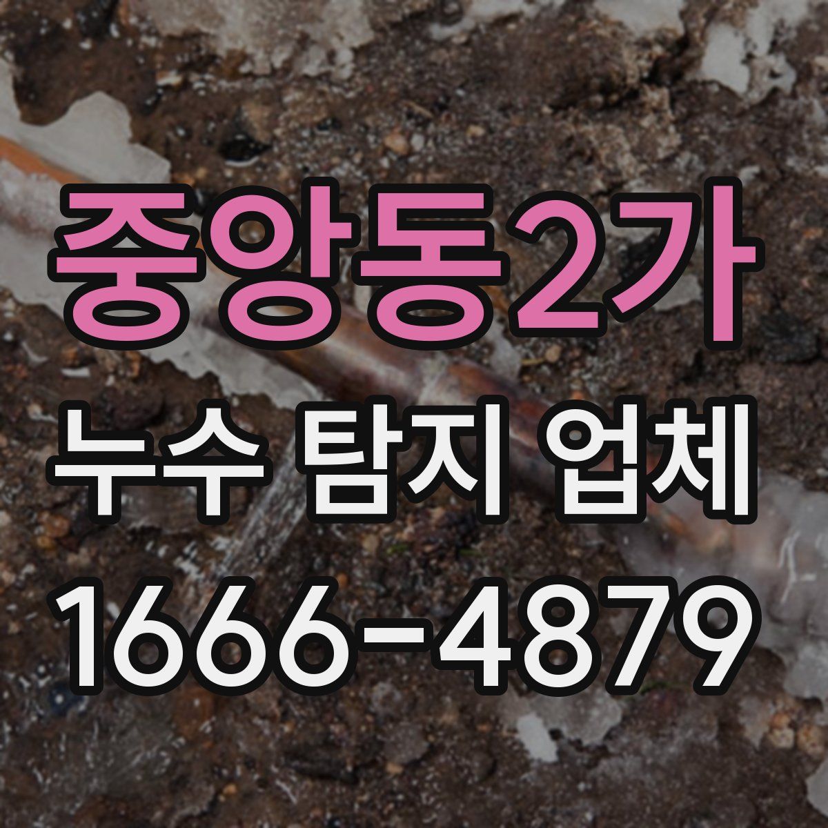 중앙동2가 누수 탐지 업체