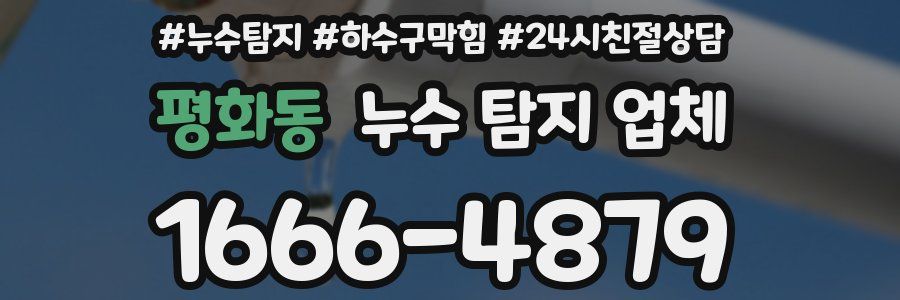 평화동 누수 탐지 업체