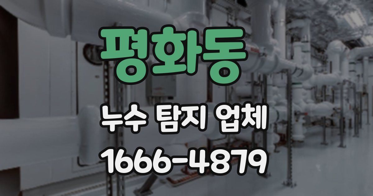 평화동 누수 탐지 업체