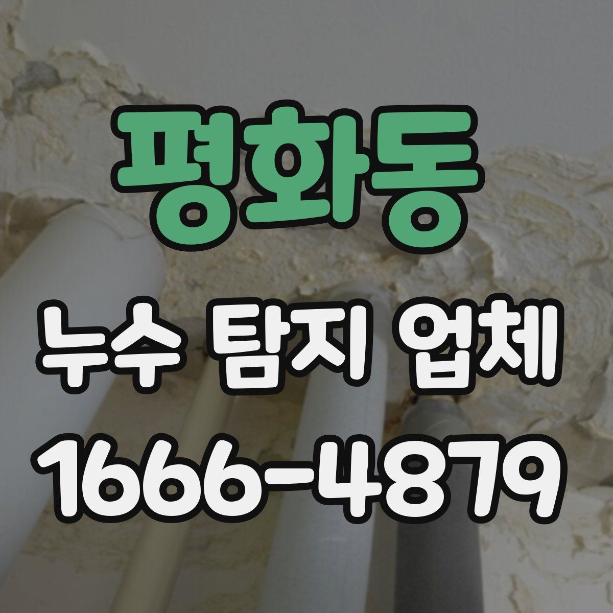 평화동 누수 탐지 업체