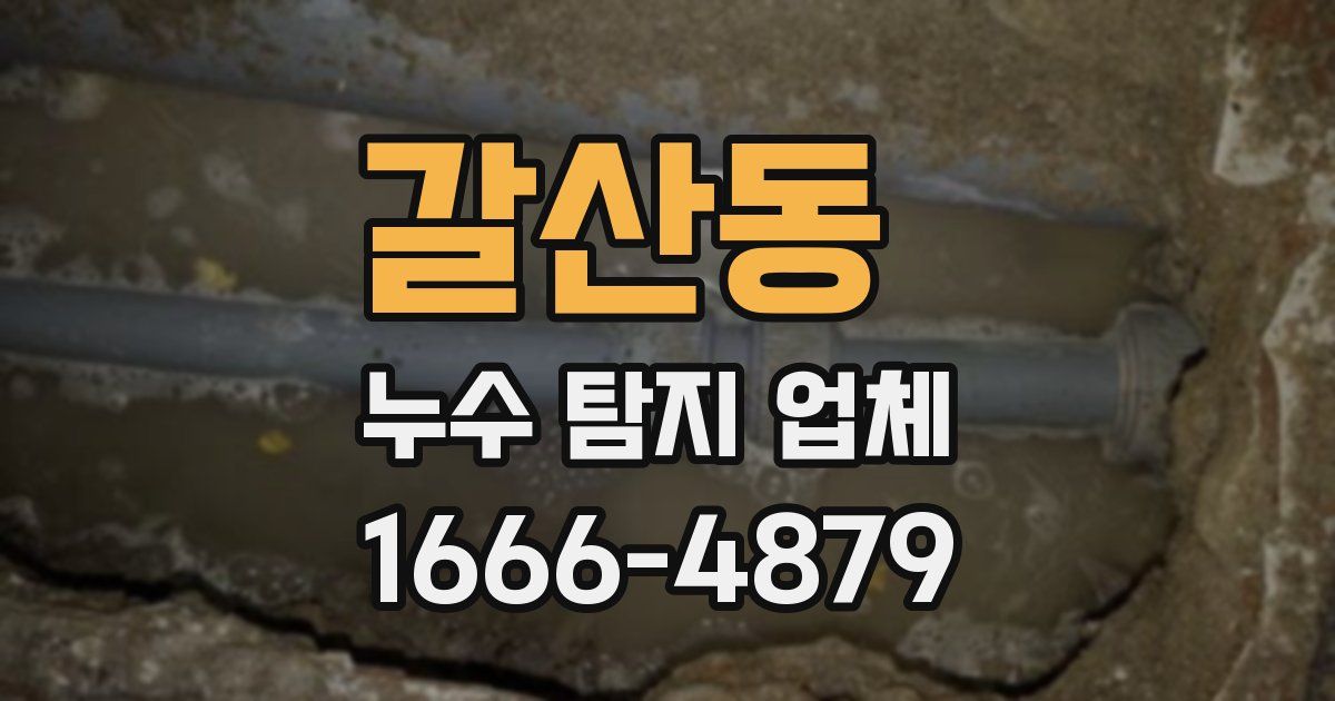 갈산동 누수 탐지 업체