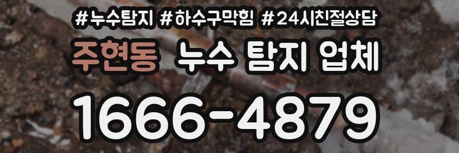 주현동 누수 탐지 업체