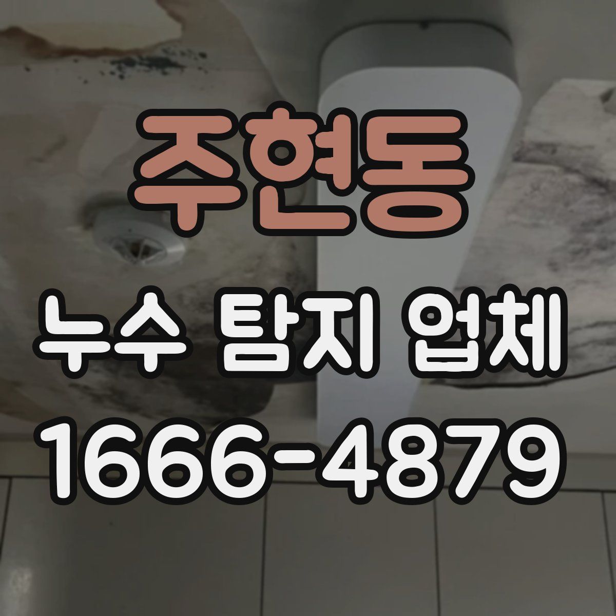 주현동 누수 탐지 업체