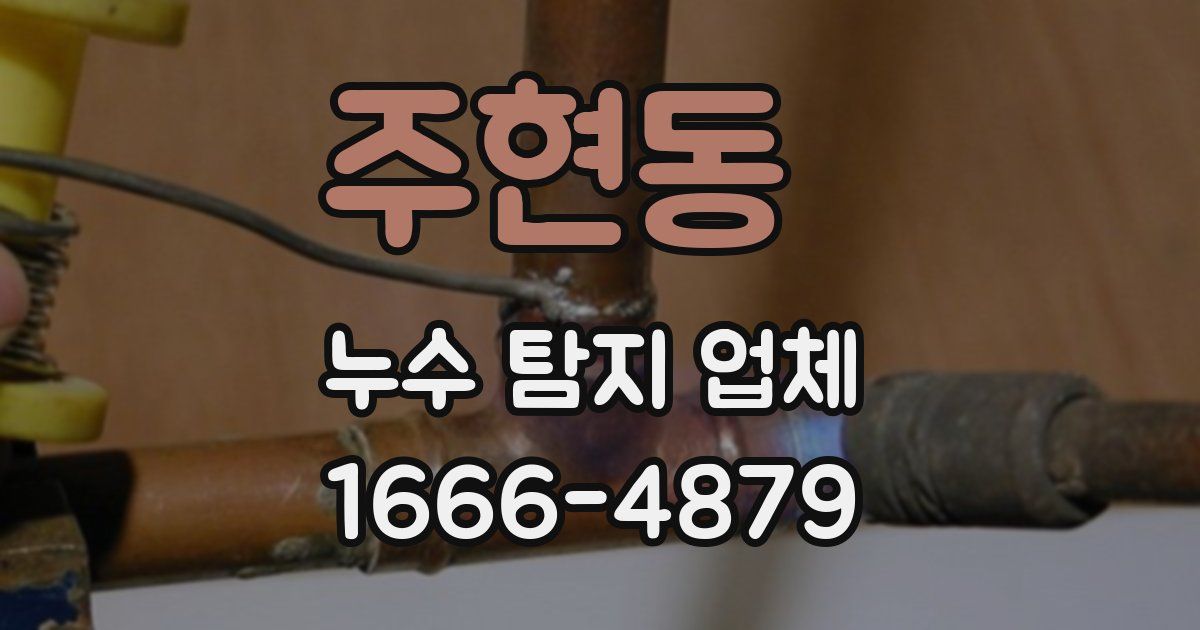 주현동 누수 탐지 업체