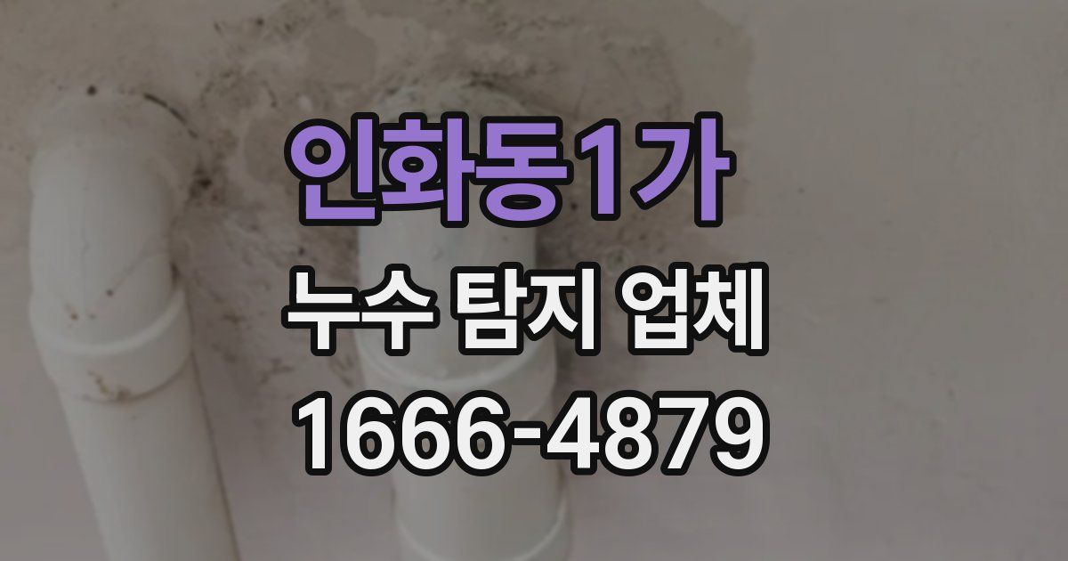 인화동1가 누수 탐지 업체