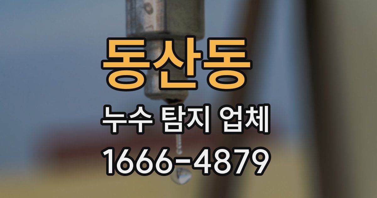동산동 누수 탐지 업체