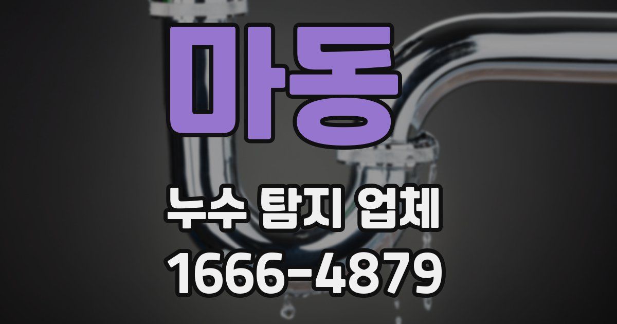 마동 누수 탐지 업체