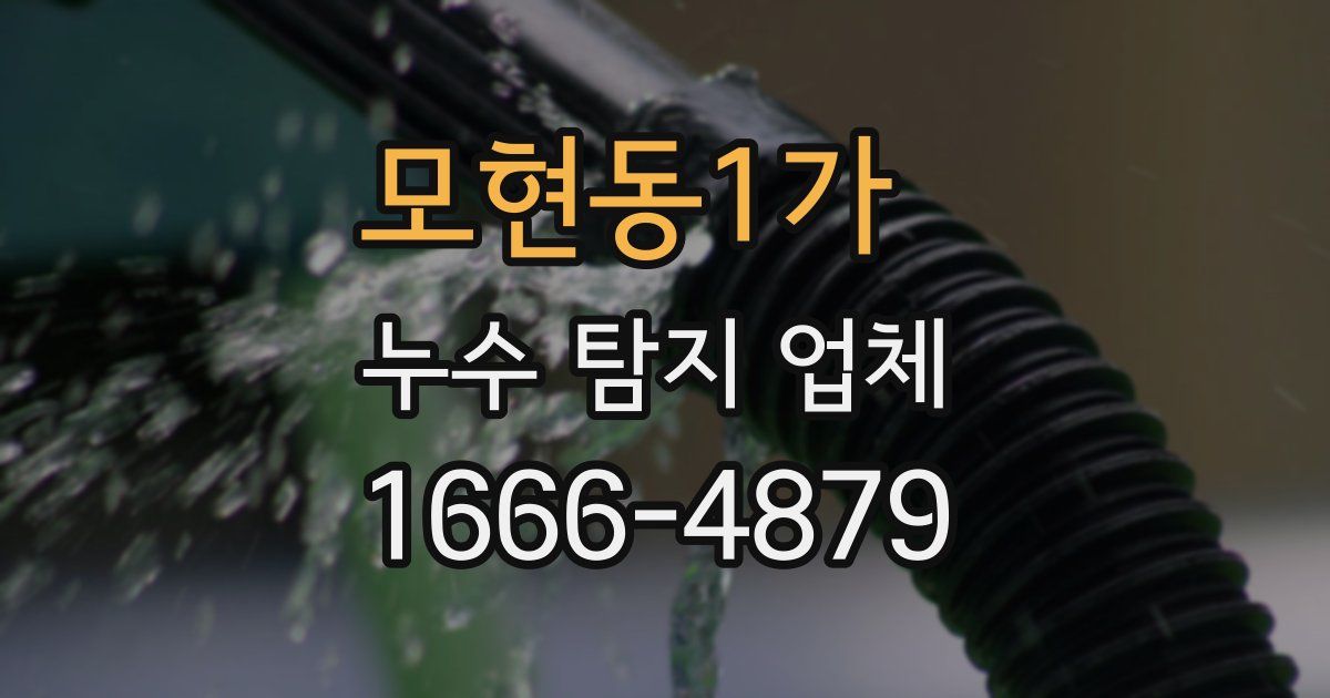 모현동1가 누수 탐지 업체