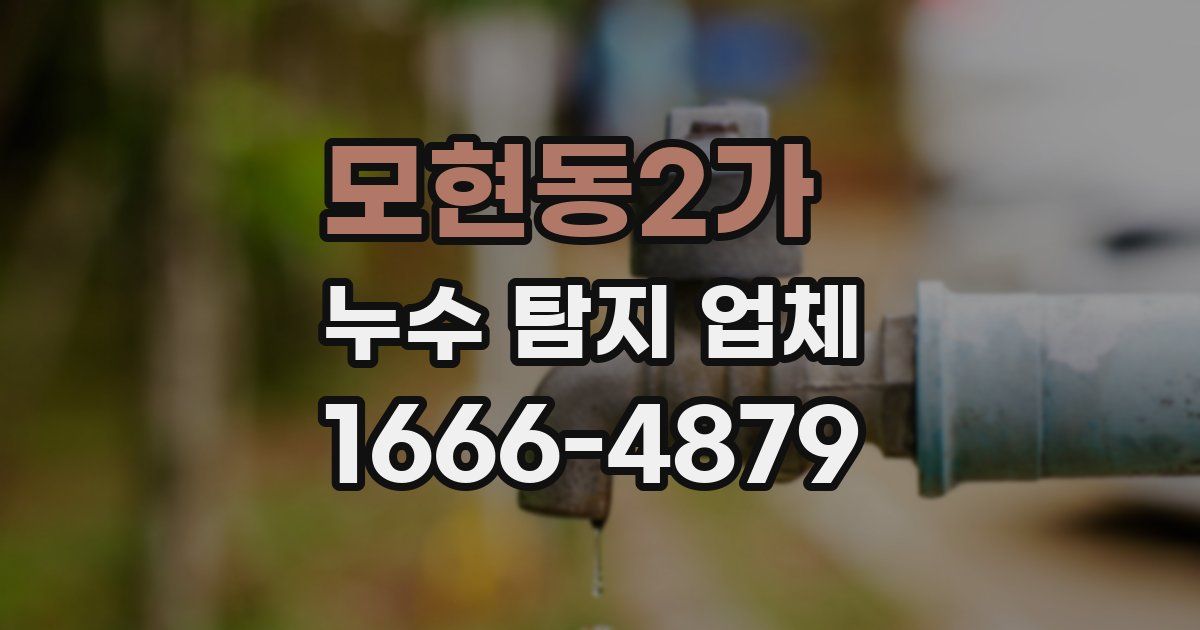 모현동2가 누수 탐지 업체