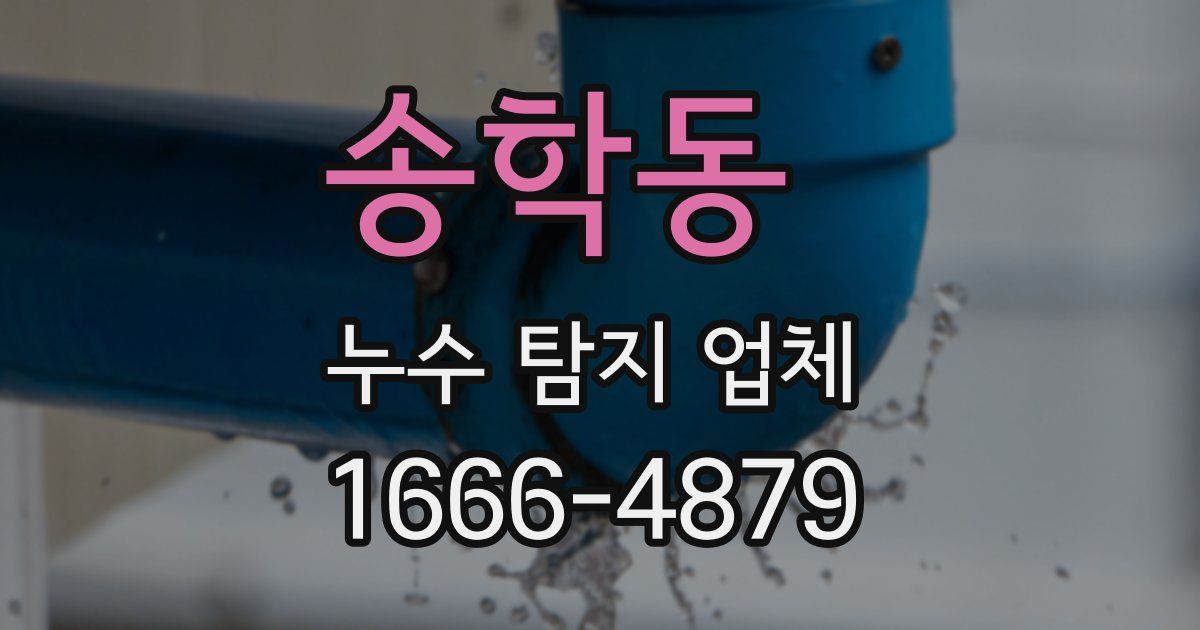 송학동 누수 탐지 업체