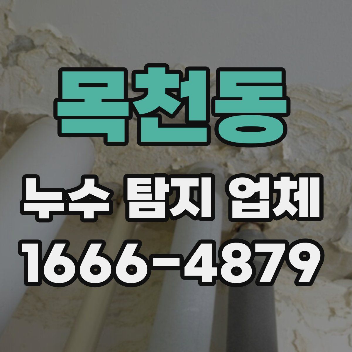 목천동 누수 탐지 업체