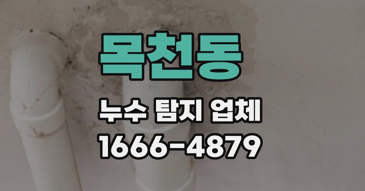 목천동 누수 탐지 업체