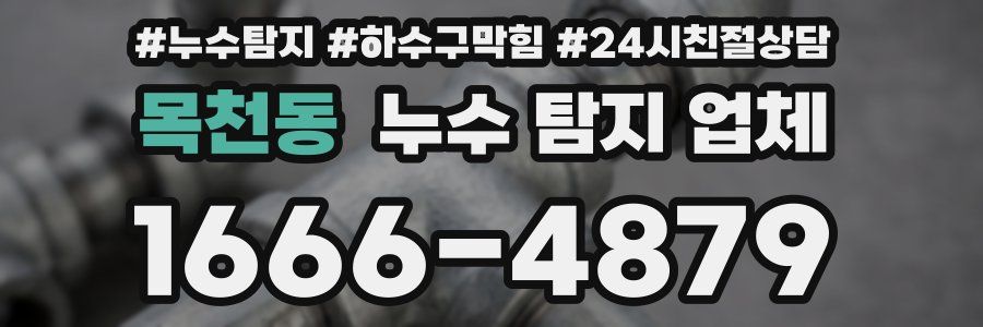 목천동 누수 탐지 업체