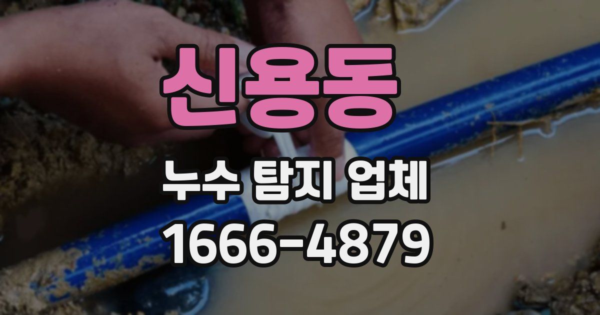 신용동 누수 탐지 업체