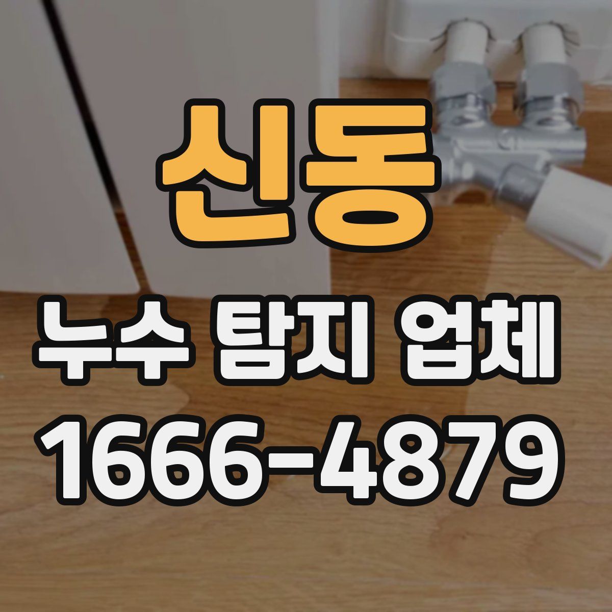 신동 누수 탐지 업체