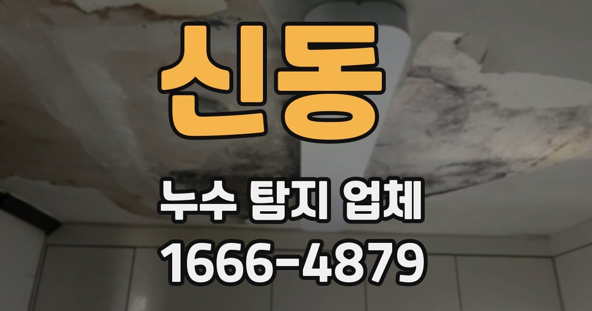 신동 누수 탐지 업체