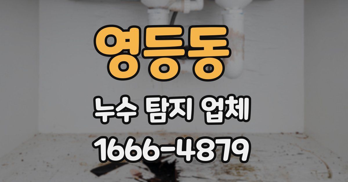 영등동 누수 탐지 업체