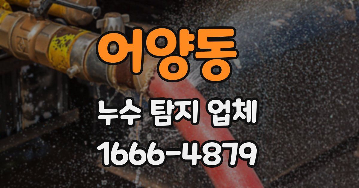 어양동 누수 탐지 업체