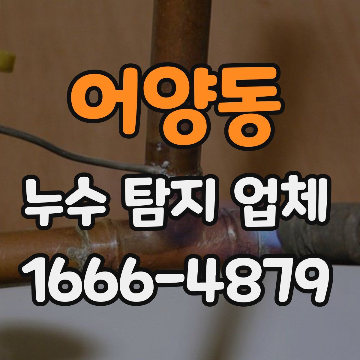 어양동 누수 탐지 업체