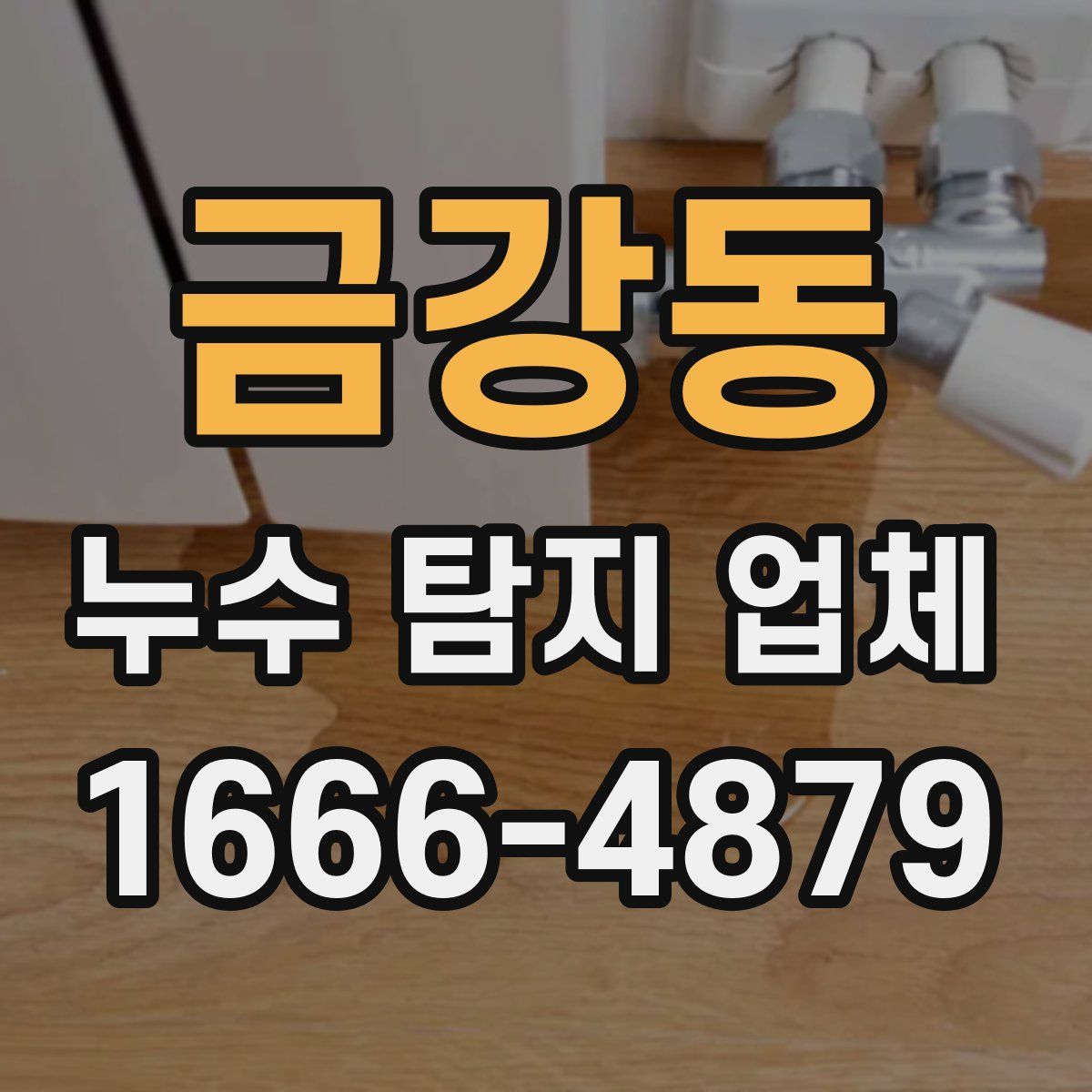 금강동 누수 탐지 업체