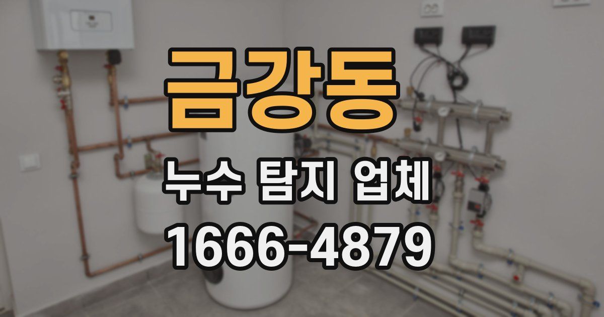 금강동 누수 탐지 업체