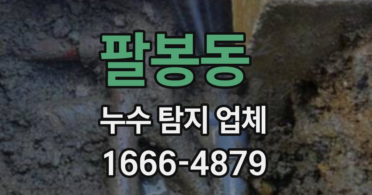 팔봉동 누수 탐지 업체